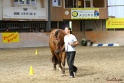 24-ApHC HIH_077